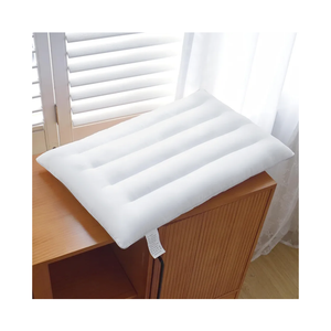 Thin Pillow for Stomach and Back Sleeper Low Pillow Flat Bed Pillow Flat Design Pillows Ultra Slim 2.5 Inches Deeper Sleep (Pack of 1)