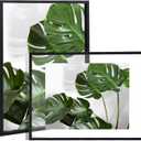 Fixwal 11x14 Set of 2 Black Floating Frames, Double Glass Picture Frame for Photos 11 x 14 or Smaller, Made of Solid Wood Frame, Glass Display Design, Desktop or Wall Display