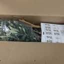 Fake Olive Tree 6FT Tall 1Pack with White Planter for Home Decor
