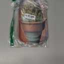 Stylish Medium-Sized 10.66.3 Inch Metal Rolling Tray with Round Edges Ideal Gift (Cream)