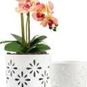 Orchid Pots with Holes, 5+6 Inch Orchid Pots with Drainage Holes and Tray, Effective Drainage and Ventilation to Assist New Plants or Repotting, Indoor/Outdoor Flower Pots -White