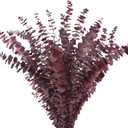 Real Dried Eucalyptus Stems, 20Pcs 17inch Red Preserved Fresh Eucalyptus Stems Plant for Home Vase Wedding Festival Floral Arrangement Fall Decoration