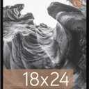 MCS Everline Collection 18x24 Poster Frame Black, Vertical & Horizontal Wall Hanging Large Picture Frame for Photos, Posters & Art Prints (1-Pack)