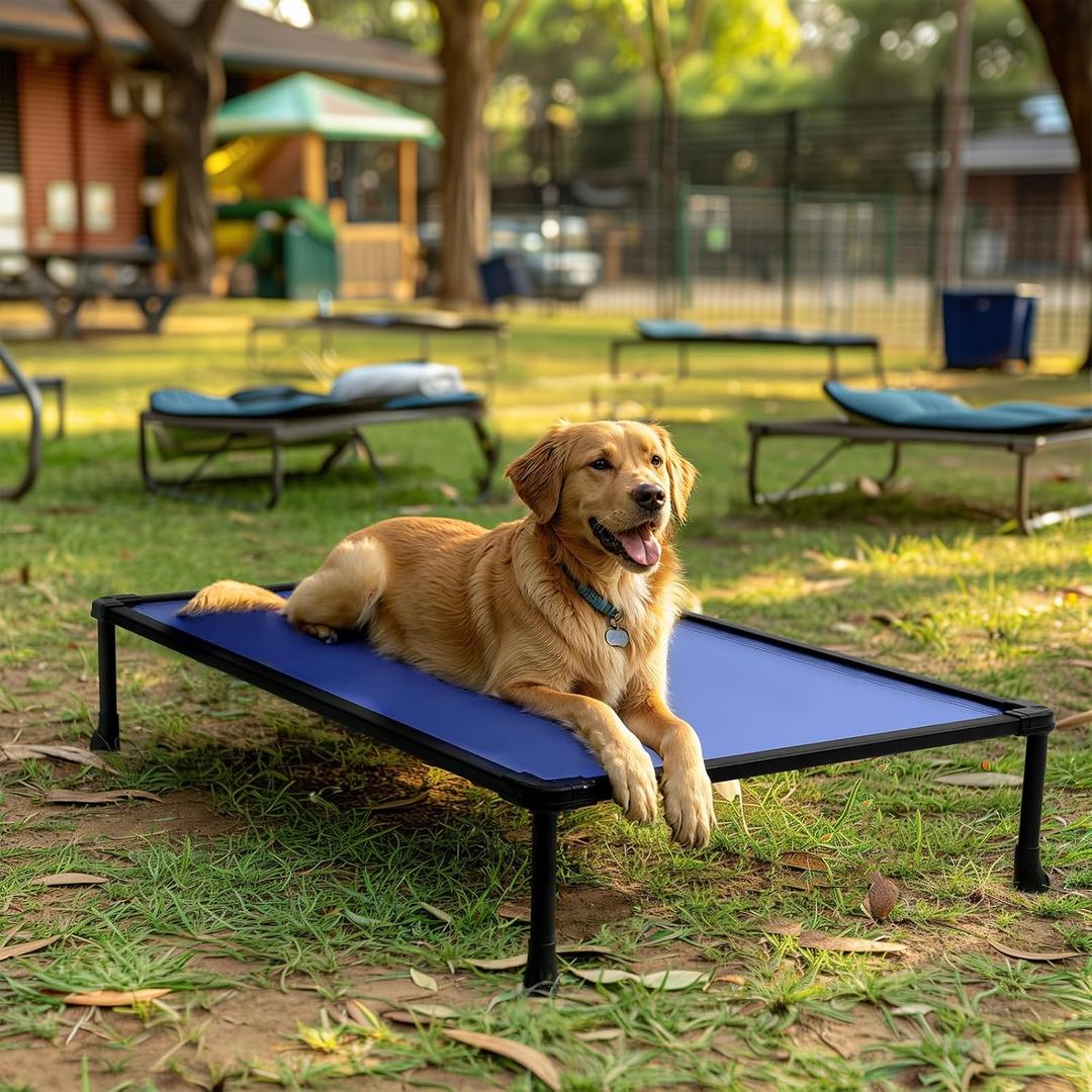 Veehoo Chew Proof Elevated Dog Bed, Indestructible Raised Dog Bed for Aggressive Chewers, Waterproof Dogs Training Platform for Indoor or Outdoor Use, 41 x27 inches, Blue (PVC Fabric))
