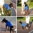 Premium Yoga-Fabric Dog T-Shirt – Breathable, Stretchy, Anti-Shedding Pet Clothes for All Seasons, Small to Large Dogs, Royal Blue, XS