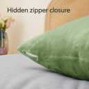 BEDELITE Flannel Pillowcases Standard Set of 2, Super Soft Fleece Pillow Case Cover with Zipper for Bedroom, Sofa, Couch,Luxury Cozy Velvet Pillow Shams for All Seasons(20x26 Inches, Sage Green)