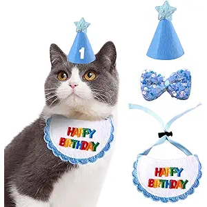 Dog Cat Birthday Party Supplies Outfit Bandana Bib Hat Cute Collar with Bow Tie for Cats Puppy Small Dogs and Rabbits (Royal Blue Ball)