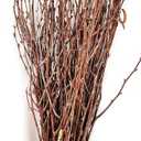 50 pcs Birch Branches for Vases, Decoration for Sale. Natural Birch Twigs for centerpieces. Floral Stick.
