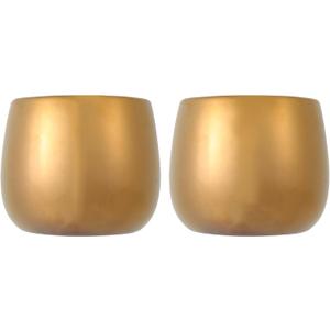 2 Pack Electroplating Succulent Plant Pots Small Ceramic Flower Pots