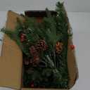 Dual Color Change&Timer 2 Pack 21 Inch Christmas Tree Outdoor Urn Filler Warm White&Colored Lights 8 Mode Pinecones Red Berries Battery Operated Tripod Stake Christmas Porch Decor Pathway Holiday Yard