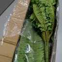 FOREST PRINCE 45" Fake Ferns, Realistic Large Artificial Bush Plants, 2 Artificial Boston Ferns with 59 Fronds for Outdoors Planter Indoor Home Garden Porch Decor