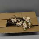 HyeFlora 3PCS Artificial Magnolia Flowers Stems for Spring Decoration, Faux Champagne Magnolia Branches with Buds, 34.5" Long Stems Floral Arrangement for Vase Pot Table Centerpiece Indoor Decor