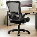 NEO CHAIR Office Desk Chair Computer Gaming Ergonomic Lumbar Back Support with Flip-up Padded Armrest Adjustable Height and Wheels for Home Vanity Bedroom Study (All Black)