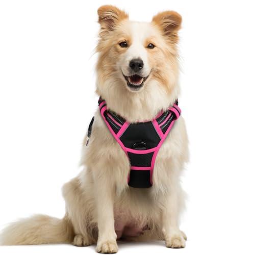 rabbitgoo Dog Harness No Pull with 2 Leash Clips, Adjustable Soft Padded, Reflective Oxford No Choke Pet Vest with Easy Control Handle for Large Dogs, Black & Hot Pink, M