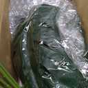 Der Rose 28'' Fake Plants Tall Artificial Monstera Faux Plants Indoor for Living Room Home House Decor