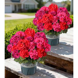 Geraniums Artificial Flowers for Outdoors, 2 Pack Potted Plants Faux Geraniums Bush Artificial Topiaries Realistic UV Resistant Fake Flowers Greenery for Outside Gardens Porch Patio Yard Indoor