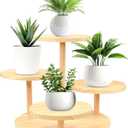Tabletop Plant Stand Indoor Small 4 Tier Adjustable Wooden Succulent Table Top Window Sill Plant Shelf for Desk,Desktop,Corner Living Room,Outdoor Patio Garden Decorations, Raw wod