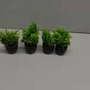 Der Rose Fake Plants 4 Packs Artificial Plants Small Faux Plants Black Bathroom Accessories for Halloween Bathroom Home Kitchen Coffee Table Office Desk Decor Indoor