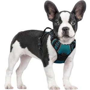 rabbitgoo Dog Harness No Pull with 2 Leash Clips, Adjustable Soft Padded, Reflective Oxford No Choke Pet Vest with Easy Control Handle for Small Dogs, Blue Coral, S