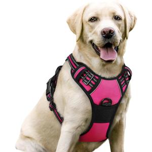 rabbitgoo Dog Harness No Pull with 2 Leash Clips, Adjustable Soft Padded, Reflective Oxford No Choke Pet Vest with Easy Control Handle for Large Dogs, Hot Pink, L