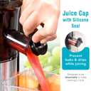 Shine Kitchen Co SJV-107-A Cold Press Slow Masticating Juicer, Stainless Steel