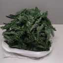 Christmas Garland 9 Ft by 12 Inch Prelit Fraser Fir Xmas Garland with 50 LED Lights 550 Tips, Real Like Lush and Classics Green Style for Indoor Outdoor Home Decoration, Classic_battery