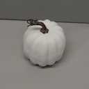 Woration 5 Inch Artificial Fake White Pumpkin Halloween Thanksgiving Cushaw Pumpkin Decoration Faux Vegetable Lifelike Food Model for Autumn Fall Harvest Embellishing & Display (Small)