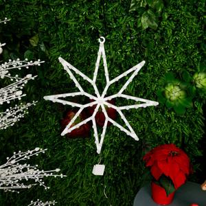 Alpine Corporation COR354WT 20" 8-Point Star LED with Multi-Function Controller, Lighted Holiday Christmas Decoration for Indoor and Outdoor Display, 19"L x 1"W x 20"H
