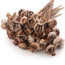 24 Stems Artificial Ranunculus Flowers - 96 Bloom Faux Silk Ranunculus Bouquet for Wedding Decorations, Home Décor, Holiday Arrangements & Large Event Centerpieces (Coffee