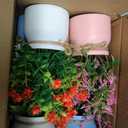 Cindeer 8 Pcs Small Artificial Potted Flowers Fake Potted Plants Plastic Faux Flowers for Home Decor Indoor Artificial Plants in Pots for Wedding Home Desk Tabletop Outdoor Office Kitchen