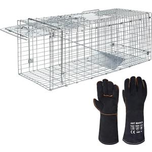 ANT MARCH Live Animal Cage Trap 32''x11.5"x13" Steel Humane Release Rodent Cage with Gloves for Rabbits, Stray Cat, Squirrel, Raccoon, Mole, Gopher, Chicken, Opossum, Skunk, Chipmunks, Groundhog