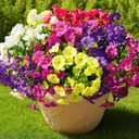 Fanfantoey 16 pcs Artificial Flowers for Outdoors, UV Resistant Fake Flowers Outside Decoration, Realistic Faux Silk Morning Glory Fake Plants for Planter Outside Decor (20, 5 Mixed)
