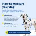 PetSafe Easy Walk Deluxe Dog Harness, No Pull Dog Harness Perfect for Leash & Harness Training Stops Pets from Pulling and Choking on Walks Large, Rose