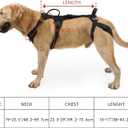 COODEO Mobility Dog Lift Harness, Support Sling & Walking Sling for Dogs, Pet Rear Leg Rehabilitation Support Vest, Dog Carrier for Senior Dogs with Joint Injuries, Arthritis, Up Stair (Black, L)