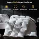 Three Geese Luxury Goose Down Comforter King Size, Ultra-Soft Fluffy Duvet Insert for All Season, 1800TC Cotton Blended Cover Hotel Style Bedding Comforter 106x90 inch