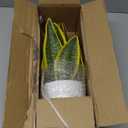 Hollyone Artificial Snake Plant Potted Faux Sansevieria Trifasciata Plants, 13" Tropical Fake Plants in White Pots for Home Office Room Indoor Decor Housewarming Gifts