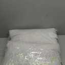 JA COMFORTS 12×20 Premium Goose Down Feather Throw Pillow Inserts(Set of 2)-5% Down Filling, High Filling Weight, 250 TC Cotton Cover, Square, White