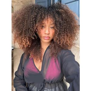 Curly Wig Afro Curly Wigs for Black Women Afro Kinky Curly Wig With Bangs Full and Fluffy Glueless Wig Synthetic Hair Replacement Wigs for Cosplay and Daily (Ombre Brown, 16inch)