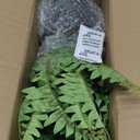 Hollyone Artificial Fern Plants in Pot 18.8" Small Artificial Boston Fern 24 Leaves for Outdoors & Indoor Faux Potted Plant Fake Ferns Bush Plant for Patio Garden Farmhouse Porch Home Decor Green