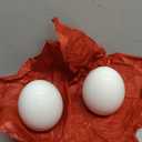 2 White Ceramic Eggs With Embossed Flowers