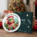 5 x Funny Frog Christmas Ornament 2025 - Frog Ornaments for Christmas Tree, Frog Gifts for Women, Men, Boys, Girls, Kids - Cute Animals Gifts Xmas Hanging Ceramic Ornament