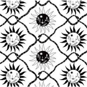 Peel and Stick Designer Wallpaper, Premium Boho Wallpaper for Bedroom, Powder Room, Kitchen, Self Adhesive, Vinyl, 30.75 Sq Ft Coverage (Sol Collection, Tuxedo Afternoon)