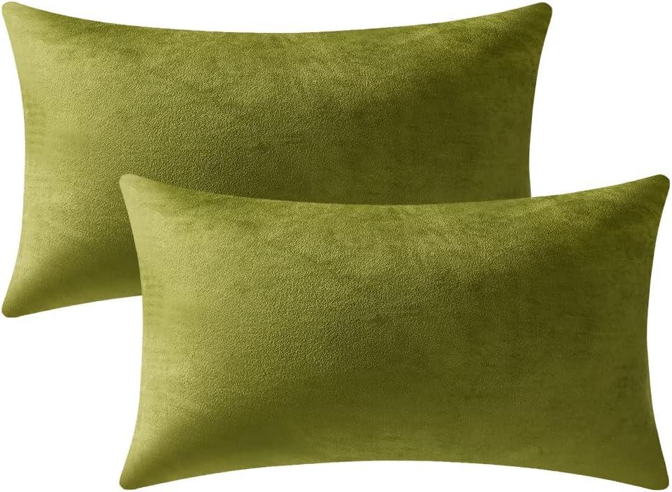 Couch Pillow Cases 12x20 Chartreuse: 2 Pack Cozy Soft Velvet Rectangular Throw Pillow Covers for Farmhouse Home Decor