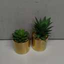Faux Succulent Artificial Plants 7'' & 5'' in Pots Home Decoration Set of 2 Gold Pots