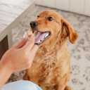 Freeze-Dried Dog Treats  Harvest Meatballs  Ground Beef, Turkey, Pumpkin, Sweet Potato & Cinnamon  Natural Treats for Small, Medium & Large Dogs  No Preservatives  7 oz Bag (1 Count (Pack of 1))