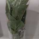 30" Little Artificial Fiddle Leaf Fig Tree/Faux Ficus Lyrata for Home Office Decoration