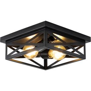 Black Rustic Metal Flush Mount Ceiling Light Fixture, 2-Light Industrial Farmhouse Hallway Light Fixtures, Metal Cage Closed to Ceiling Mounted Lights for Bedroom Kitchen Ceiling Lights (1 Pack(9.8 in)