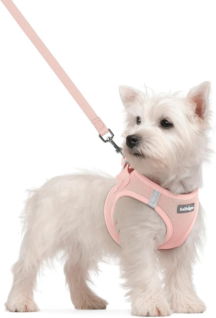 rabbitgoo Dog Harness Small Sized and Leash Set, Step in Soft Light Puppy Vest, Breathable Mesh Pet Harness, Reflective for Safe Outdoor Walking, Pink S (S (Chest: 15.1 - 16.5"))