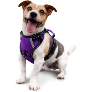 No Pull Dog Harness, Reflective Walking Dog Harness with Easy Control Handle and Front & Back Clips,Adjustable Breathable Soft Padded Dog Vest Harness for Large Medium Small Dogs,Purple,S (Modern Violet)