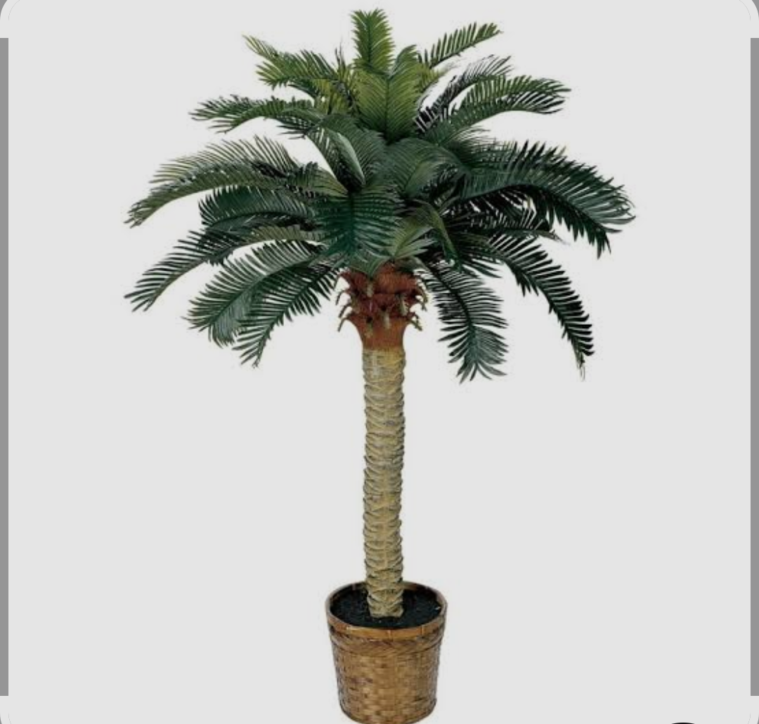 Nearly Natural 5043 4ft. Sago Silk Palm Tree,Green,36x36x48, 2 pack Nearly Natural 5043 4ft. Sago Silk Palm Tree,Green,36x36x48, 2 pack